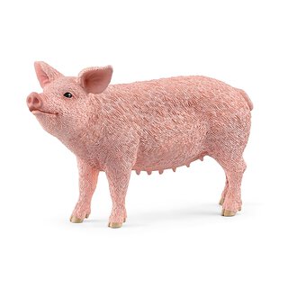 Schwein | Schleich