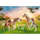 71000 Playmobil Country - Island Ponys mit Fohlen