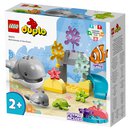 Lego Duplo - Wilde Tiere des Ozeans 10972 | Lego