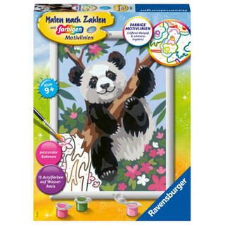 Malen nach Zahlen - Süsser Pandabär