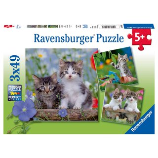 RAVENSBURGER Puzzle Süsse Samtpfötchen | Ravensburger