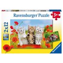 RAVENSBURGER Puzzle Katzen auf Entde- | Ravensburger