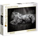 Puzzle Katze Kitty 1000 teilig | Clementoni